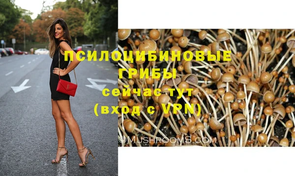 дурь Богородск