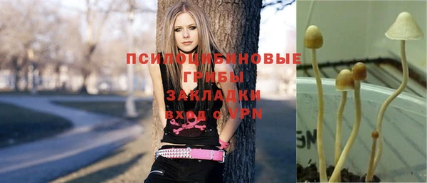 амф Богданович