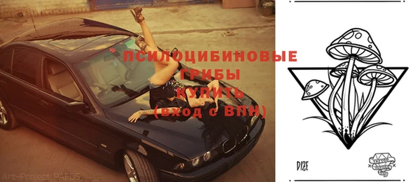 дживик Белокуриха