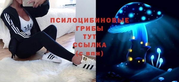 амф Богданович