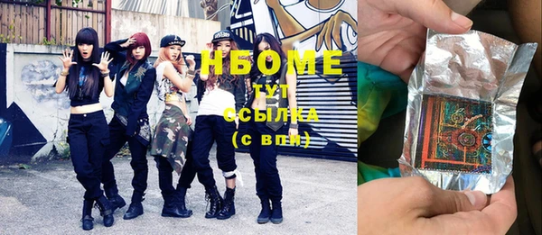 apvp Бородино