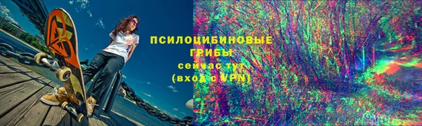 амф Богданович