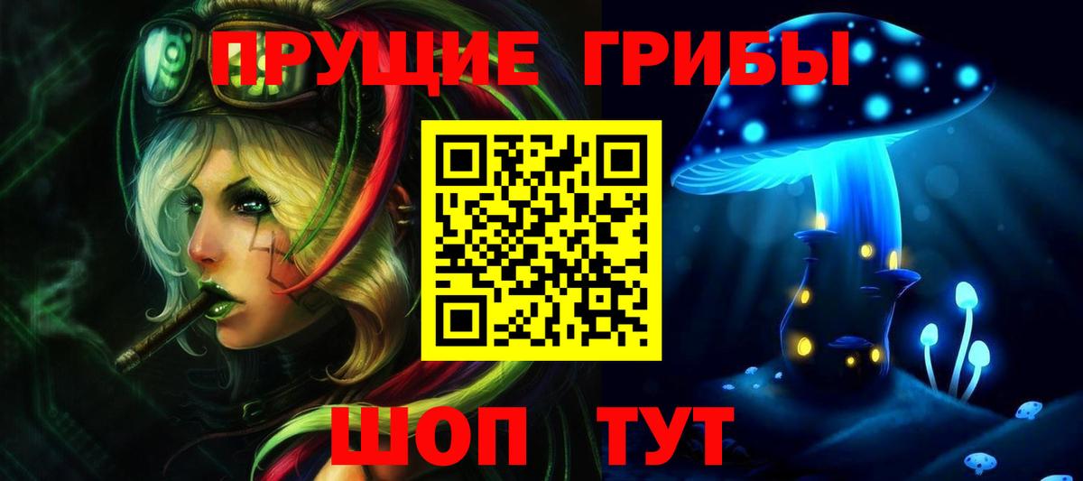 Галлюциногенные грибы Psilocybe Горно-Алтайск