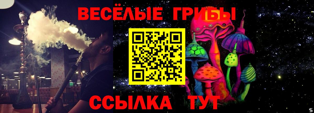 Горно-Алтайск  Галлюциногенные грибы Psilocybine cubensis  Вход с VPN 